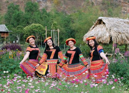 pexels-hieu-954040 (1)